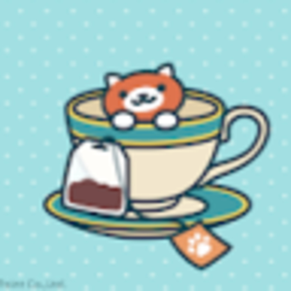 Meet your Posher, Courtney